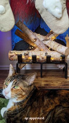 a cat laying on the floor next to a christmas decoration