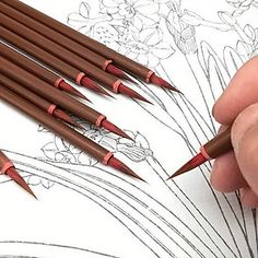 a person is drawing flowers with pencils