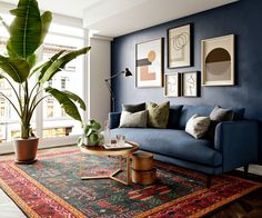 a living room with blue walls and rug on the floor, plants in vases