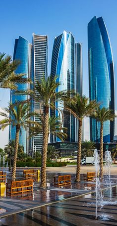 palm trees and benches in front of modern skyscrapers