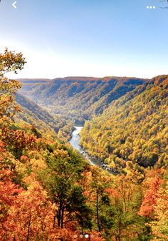 a scenic view of a river surrounded by trees in the fall with orange and yellow foliage