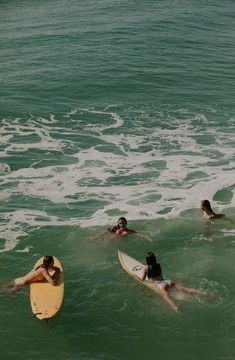 several people in the water with surfboards