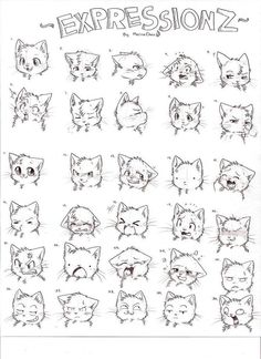 Dec 132021Description THIS WAS DRAWN BY HAND8D W00TIt's been forevar scince i've made an Expression SheetAhI just LOVE Making Facial expressionsNoThis is not AmberpawI used R.Cthat stands for Random Cathe's just a little fluffy cat That I always draw on my homeworkAND OKThis was SUPPOSED to be a SERIOUS facial expression refence sheetbut By the time I reached the Fifth RowIt was allready 3:00 in the morningand if you know me Wellyou should know that I think everything is funny after 3:00 AMThat Cat Emotions Drawing, Cartoon Cat Reference, Cute Cat Animation, Cat Hand Drawing, Cartoon Cat Drawing, Cat Expressions, Cartoon Expression, Cats Art Drawing