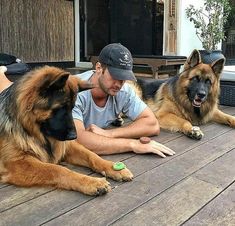 a man and two large dogs laying on a wooden table outside with people sitting in the background