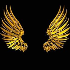 two golden wings on a black background