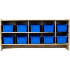 a wooden shelf with blue plastic containers on it's sides and two rows of bins in the middle