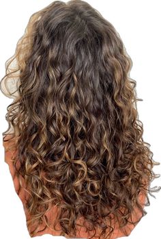 Curly Hair Caramel Highlights, Caramel Highlights Balayage, Hair Caramel Highlights, Curly Light Brown Hair, Hair Caramel, Balayage Caramel, Natural Balayage, Curly Cut