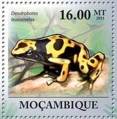 a yellow and black frog sitting on top of a green leaf covered ground with the words mocambique written below it