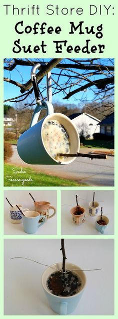 coffee mugs with spoons in them are hanging from the side of a tree