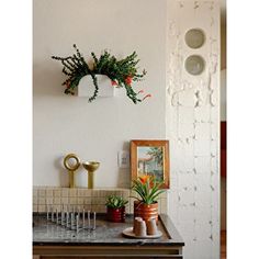 a kitchen counter topped with pots and plants next to a wall mounted planter on the wall