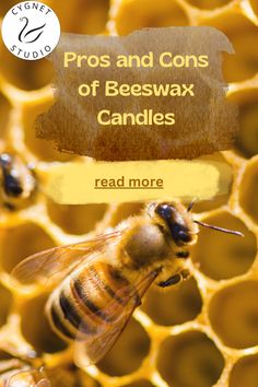 the cover of pros and cons of beeswax candles by read more