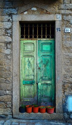 two green doors with pots of flowers in front of them