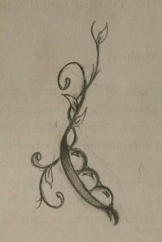 a drawing of a vine with leaves on it