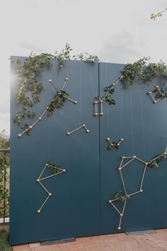 a blue wall with plants growing on it's sides and hanging from the side