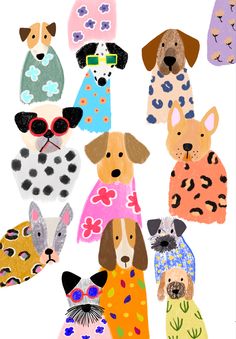 a group of dogs wearing sweaters and sunglasses on top of each other in different colors