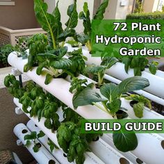 the hydroponic garden is full of green plants and water hoses with text overlay that reads, 72 plant hydroponics for your garden build guide