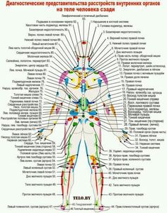 Anatomy Education, Kung Fu Martial Arts, Spine Health, Reflexology Massage, Body Anatomy, Medical Knowledge, Chakra Meditation