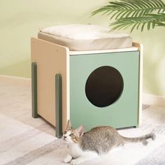 a cat sitting on the floor next to a green and beige box with a hole in it