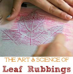 the art and science of leaf rubbings for kids to draw with crayons