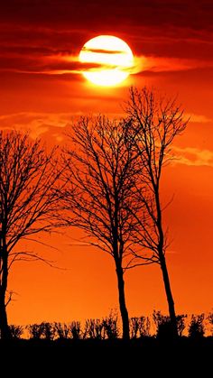 the sun is setting behind some trees in the foreground, with no leaves on them