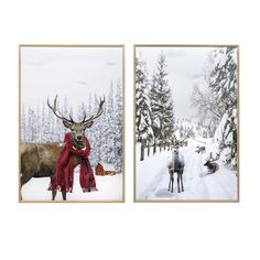 two pictures of deer in the snow with scarfs