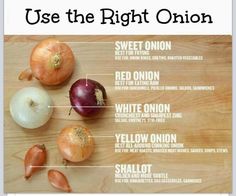 an image of onions on a cutting board labeled with their names in english and french