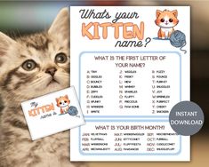 a kitten is looking up at the camera with its name on it's card