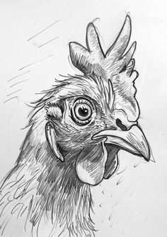 a drawing of a rooster's head