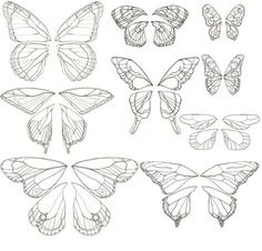 several different butterflies are shown in black and white, each with their own wings spread out