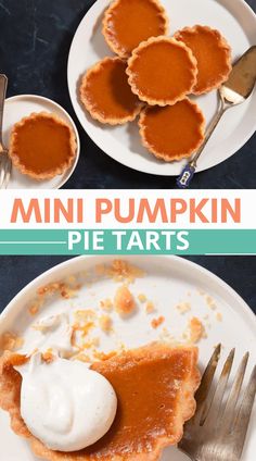 Here is a delicious mini pumpkin pie tarts Pumpkin Pie Tarts Mini, Pumpkin Pie Tarts, Mini Pumpkin Pie, Pumpkin Filling, Pumpkin Tarts, Tart Dough, Mini Pumpkin Pies, Mini Tart