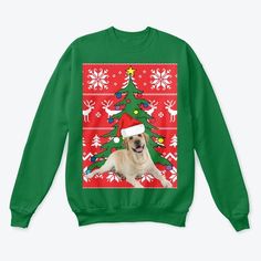 a dog wearing a santa hat on top of a green sweater