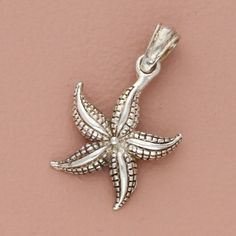 sterling silver vintage starfish pendant Pre-loved but in great condition - Weight - 1.8g Width - 16mm Height - 26mm Item ID - ABH40600144 Silver Starfish Charm Pendant Jewelry, Sterling Silver Starfish Charm Jewelry, Silver Starfish Charm Jewelry, Starfish Pendant, Accessories Jewelry Necklace, Women Accessories Jewelry, Sterling Silber, Starfish, Pendant Necklaces