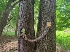 two trees that have faces on them in the woods, one is made to look like a woman's face