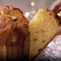 Authentic Panettone Recipe: The Best Sourdough Yeast-Based Recipe for a Soft and Fragrant Homemade Panettone Panettone Sourdough, Italian Christmas Bread, Italian Christmas Desserts, Panettone Recipe, Bread Flour, Dry Yeast, Lemon Zest, Dried Fruit, Baking Sheet