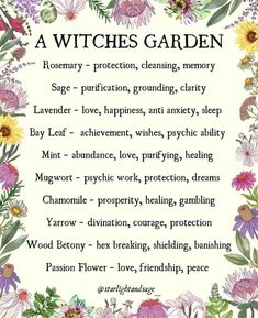 Crystals Spirituality, Witches Art, Witches Garden, Gothic Love, Witchy Garden, Pagan Magic, Spiritual Nature, Witch Herbs, Magia Das Ervas