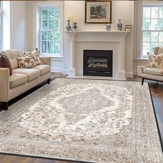 a living room with two couches and a rug in front of a fire place