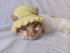 an orange and white cat wearing a yellow crochet hat