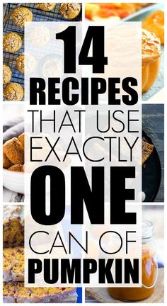 Canned Pumpkin Recipes, Pumpkin Eater, Pumpkin Squash, Pumpkin Desserts, Pumpkin Pies, Pumpkin Treat, Pumpkin Recipes Dessert, Pumpkin Seasoning, Pumpkin Dessert