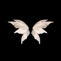 two white wings on a black background