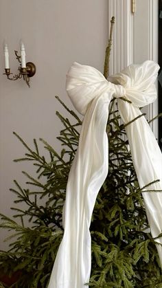 a white bow on top of a christmas tree