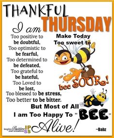 a poster with the words, i am happy to be alive and two bees on it