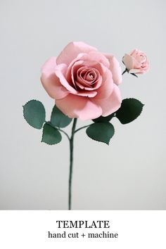 a single pink rose with green leaves on a white background and the words online template