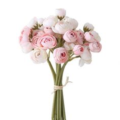 a bunch of pink roses in a vase on a white background with a ribbon tied around the stems