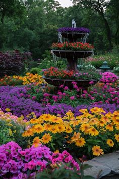 a garden filled with lots of colorful flowers