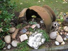 a garden filled with lots of rocks and plants