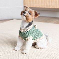 a small dog wearing a sweater sitting on the floor