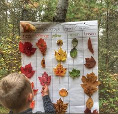 a young boy holding up a leaf chart