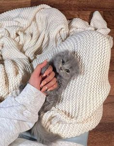 a woman is holding a cat in her lap while laying on the floor next to a blanket