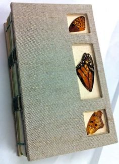 three butterflies are in the middle of a book with holes for them to see inside