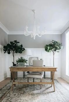 a room with a table, chair and potted plants